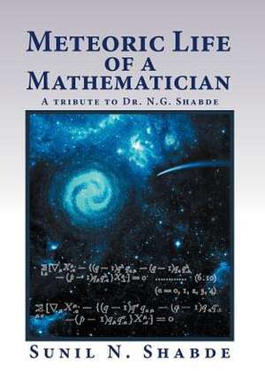 Meteoric Life of a Mathematician de Sunil N. Shabde