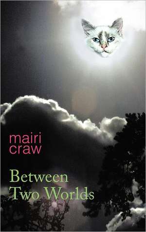 Between Two Worlds de Mairi Craw