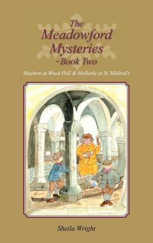 The Meadowford Mysteries - Book Two de Sheila Wright