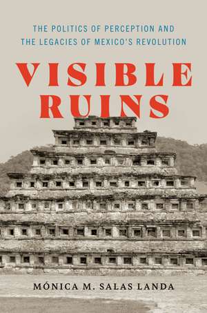 Visible Ruins: The Politics of Perception and the Legacies of Mexico's Revolution de Mónica M. Salas Landa