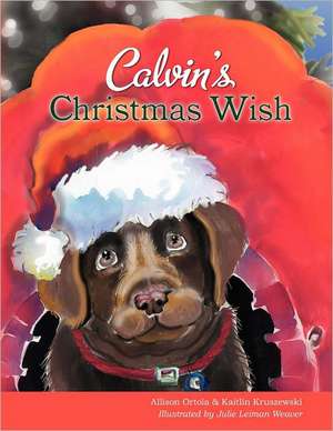 Calvin's Christmas Wish: A Higher Education Experience in Pakistan de Allison Ortola