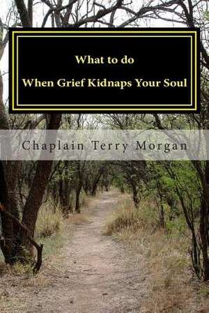 What to Do When Grief Kidnaps Your Soul de Terry K. Morgan