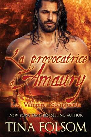 La Provocatrice D'Amaury de Tina Folsom