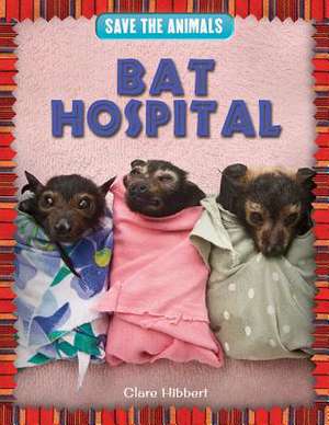 Bat Hospital de Clare Hibbert