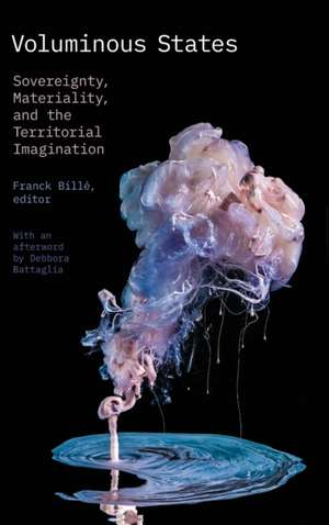 Voluminous States de Franck Billé
