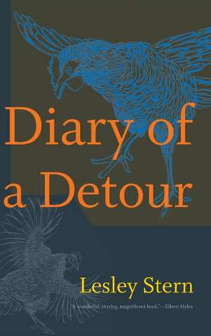 Diary of a Detour de Lesley Stern