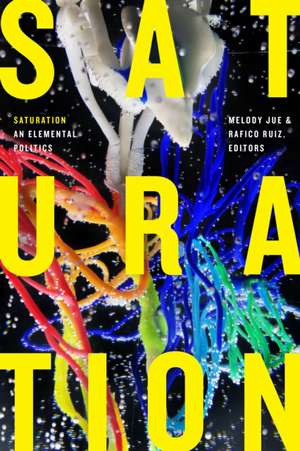 Saturation – An Elemental Politics de Melody Jue