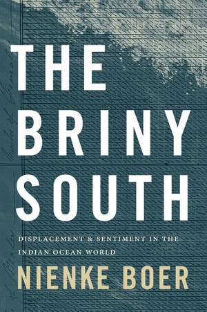 The Briny South de Nienke Boer