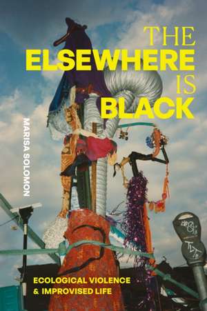 The Elsewhere Is Black de Marisa Solomon