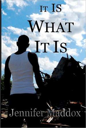 It Is What It Is: Thoughts and Stories Useful in Preaching about Justice de Jennifer Maddox