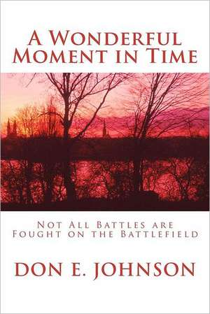 A Wonderful Moment in Time: Volume 5 of Heavenly Citizens in Earthly Shoes, an Exposition of the Scriptures for Disciples and Young de Don E. Johnson