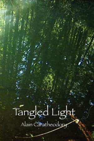 Tangled Light: At Play in the Forest of Night de Alain M. Caratheodory