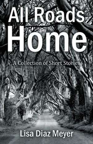 All Roads Home de Lisa Diaz Meyer