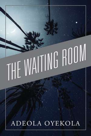 The Waiting Room de Oyekola, Adeola