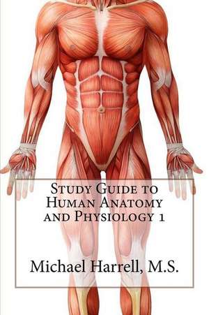 Study Guide to Human Anatomy and Physiology 1: 63 Rezepte AB 6 Monaten de Michael Harrell M. S.