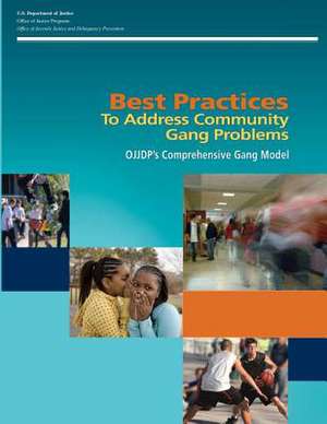 Best Practices to Address Community Gang Problems de U. S. Department Of Justice