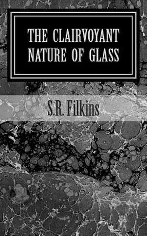 The Clairvoyant Nature of Glass de S. R. Filkins