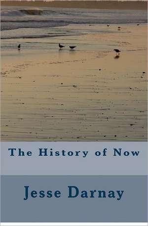 The History of Now: What Motivates Humans to Love Well & Forgive Deeply? de Jesse S. Darnay