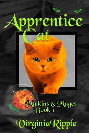 Apprentice Cat de Virginia Ripple