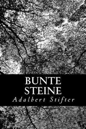 Bunte Steine de Adalbert Stifter