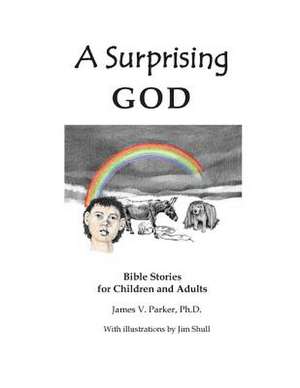 A Surprising God de James V. Parker Ph. D.