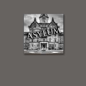 Asylum de Sterling Rip Smith