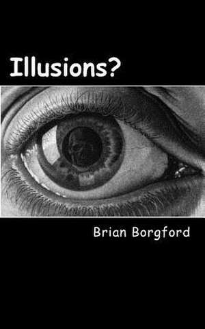 Illusions de Brian Borgford