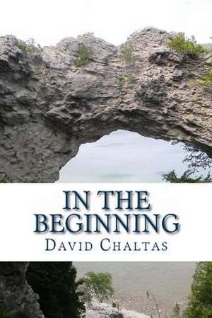 In the Beginning de David Chaltas