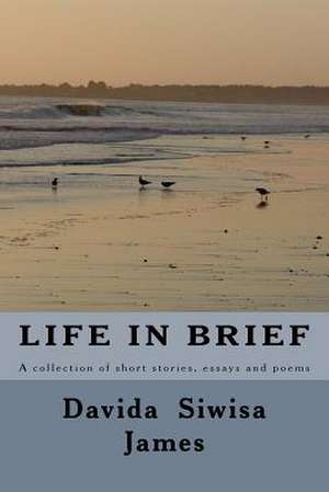 Life in Brief de Davida Siwisa James