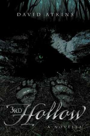 3rd Hollow de David Atkins