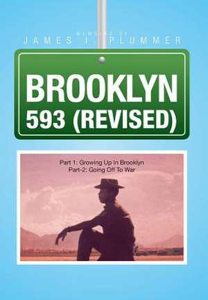 Plummer, J: Brooklyn 593 (Revised)