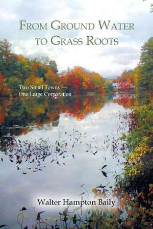 From Ground Water to Grass Roots de Walter Hampton Baily