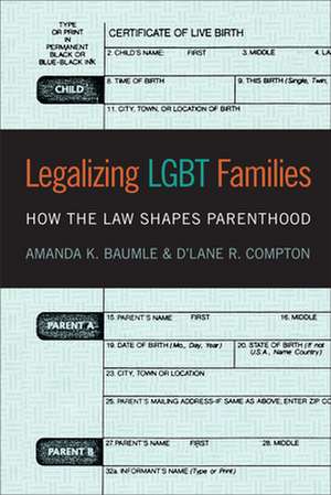 Legalizing LGBT Families – How the Law Shapes Parenthood de Amanda K. Baumle