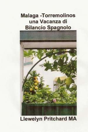 Malaga -Torremolinos Una Vacanza Di Bilancio Spagnolo: I Diari Illustrata Di Llewelyn Pritchard Ma de Llewelyn Pritchard Ma