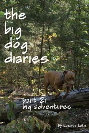 Big Adventures de Lazarus Lake