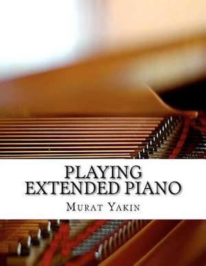 Playing Extended Piano de Murat Yakin