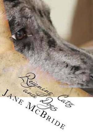 Reigning Cats and Dogs de Jane McBride