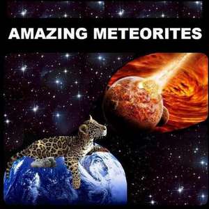 Amazing Meteorites de Richard and Naira Matevosyan