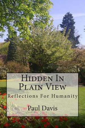 Hidden in Plain View de Paul Davis