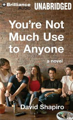 You're Not Much Use to Anyone de David Shapiro