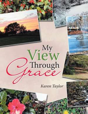 My View Through Grace de Karen Taylor