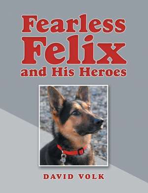 Fearless Felix and His Heroes de David Volk