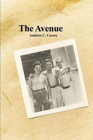 The Avenue de Andrew C. Cecere