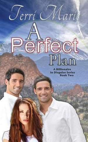 A Perfect Plan de Terri Marie