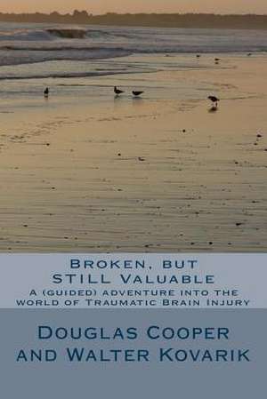 Broken, But Still Valuable de MR Douglas a. Cooper