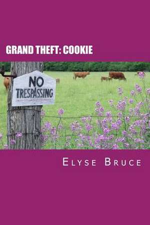 Grand Theft de Elyse Bruce