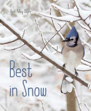 Best in Snow de April Pulley Sayre