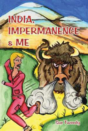 India, Impermanence & Me de Sue Tweedy