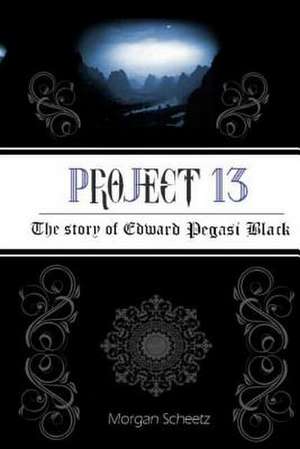 Project 13 de Morgan Scheetz