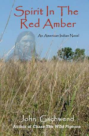 Spirit in the Red Amber de John Gschwend